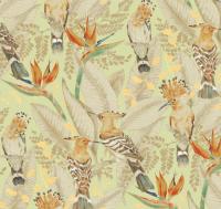 Hoopoe%20ETD7%20002