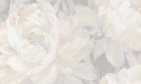 53b41105-1c6b-4fe4-ad8c-efab111ae0ff
