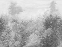 ART2%20011