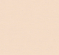 TXL4 003_1_29_11zon