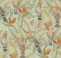 Hoopoe%20ETD7%20005
