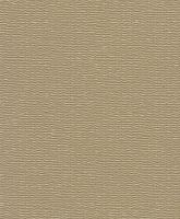 c0b56c07-53ec-4af1-83f2-9bfb31380ef0