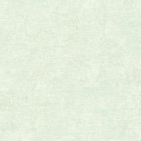 RGI1006-12