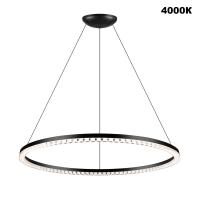 0050401 (2)