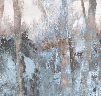 Thicket%20ETD6%20006