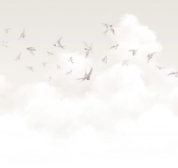 AM11 001.png