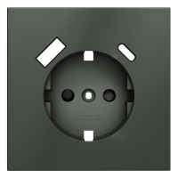 Render_front_VLS001006_w_standard