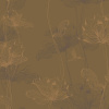 AM8%20012_5