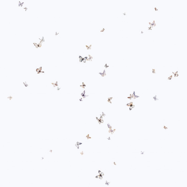 4bfd2b7f-a0be-453b-997b-bd153097befa