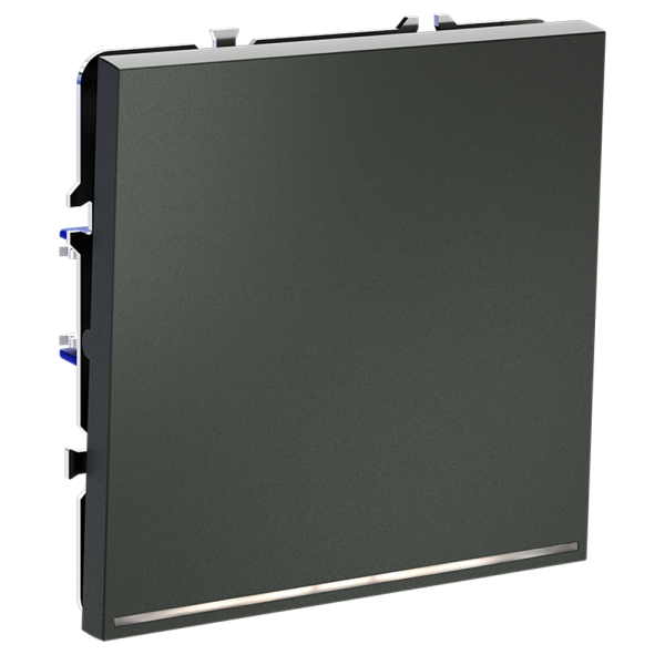 Renderright_VLS010206_w_standard