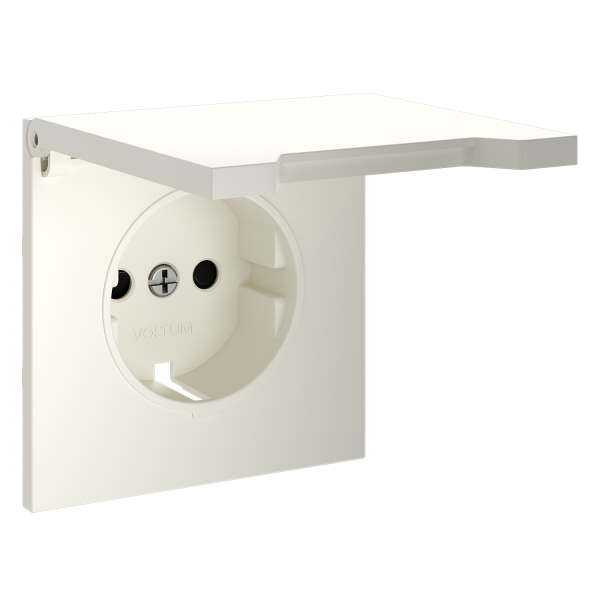 Render_right_VLS000813_w_standard
